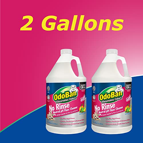 על ידי OdoBan מחמד פתרונות לא לשטוף pH נייטרלי מנקה רצפות להתרכז, 2-Pack, 1 ליטר כל אחד